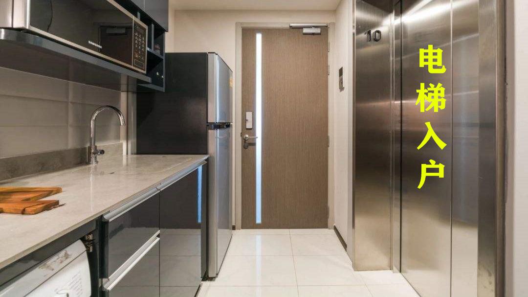 一梯两户不如两梯两户？电梯直达入户，门口放鞋柜，物业管不着！