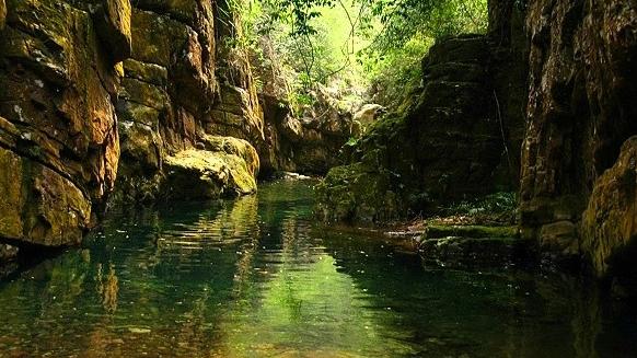 桂林|芦笛岩，芦笛岩主要是以岩洞为主的风景名胜区