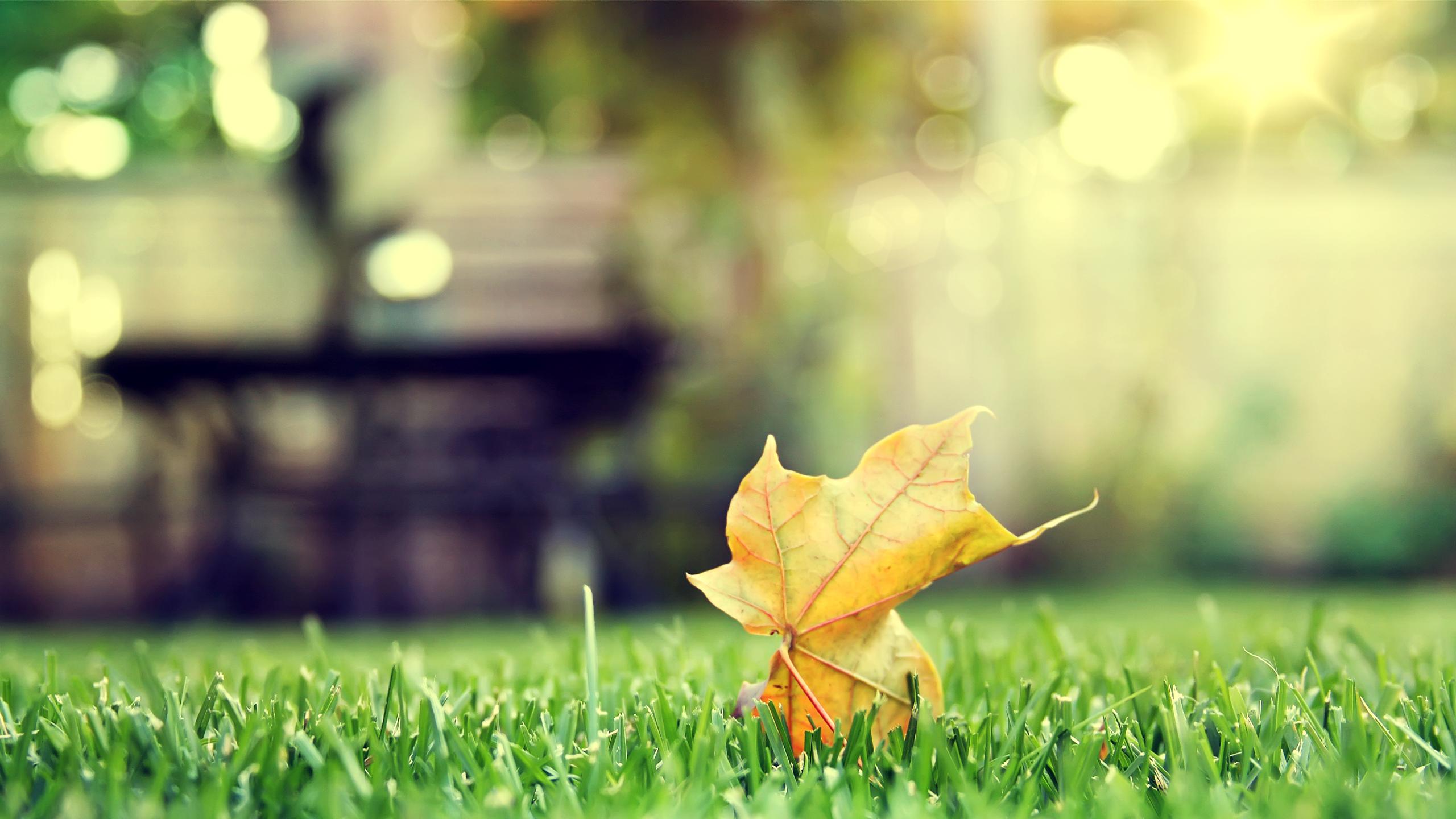 江西|生活从来就是如此的随性，吃不吃早餐随自己