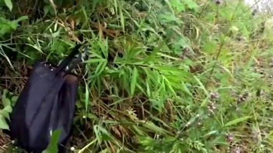 长江鲟|钓鱼摊上事了！四川一男子钓获长江鲟不愿放生，结局极度舒适