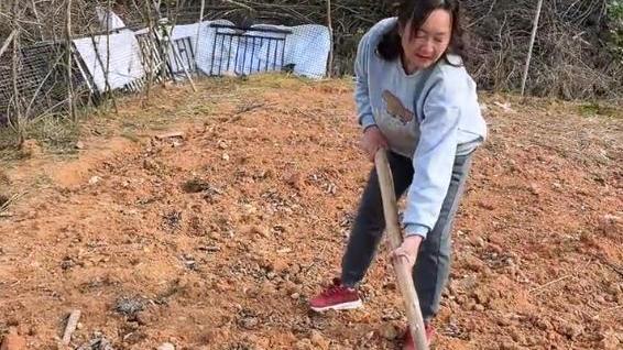 张玉环|张玉环城里老婆下地干活，虽然动作不娴熟，但依然被网友赞扬！