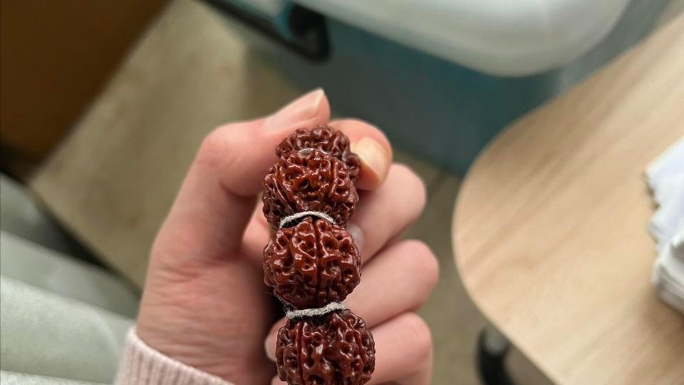 金刚菩提|文玩金刚菩提断齿很绝望？金刚菩提避免断齿全攻略！