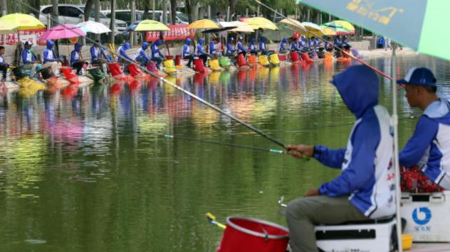 饵料|饵料吸引鱼儿的原理是什么？为什么说配制饵料要虚实兼备？