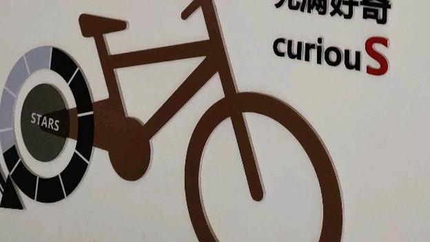 |人到中年鬓染霜，只身红尘细思量