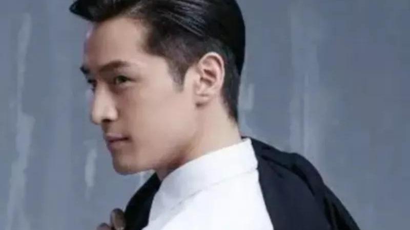 陈龙|胡歌当着赵丽颖的面，直言不愿意与她合作，到底是为什么