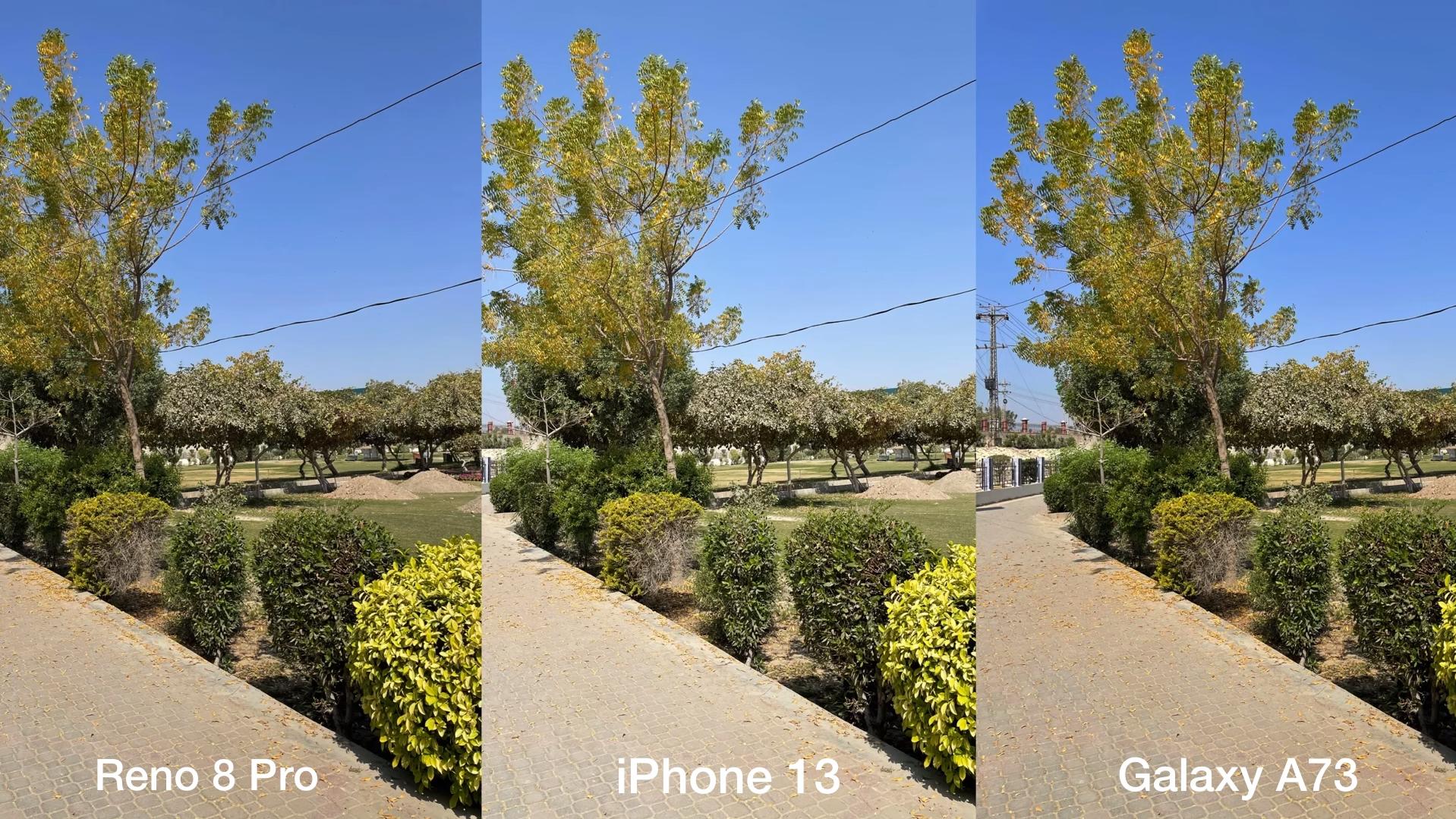 iPhone|影像标杆是种什么表现？外媒实拍对比