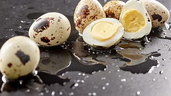 黄体酮|它是天然黄体酮，女性没事吃两口，增加体内雌激素，到六十也不老