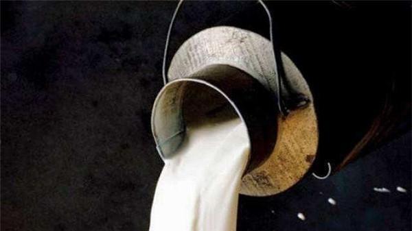 脱发|有人喝牛奶，有人喝羊奶，为什么没人喝猪奶？