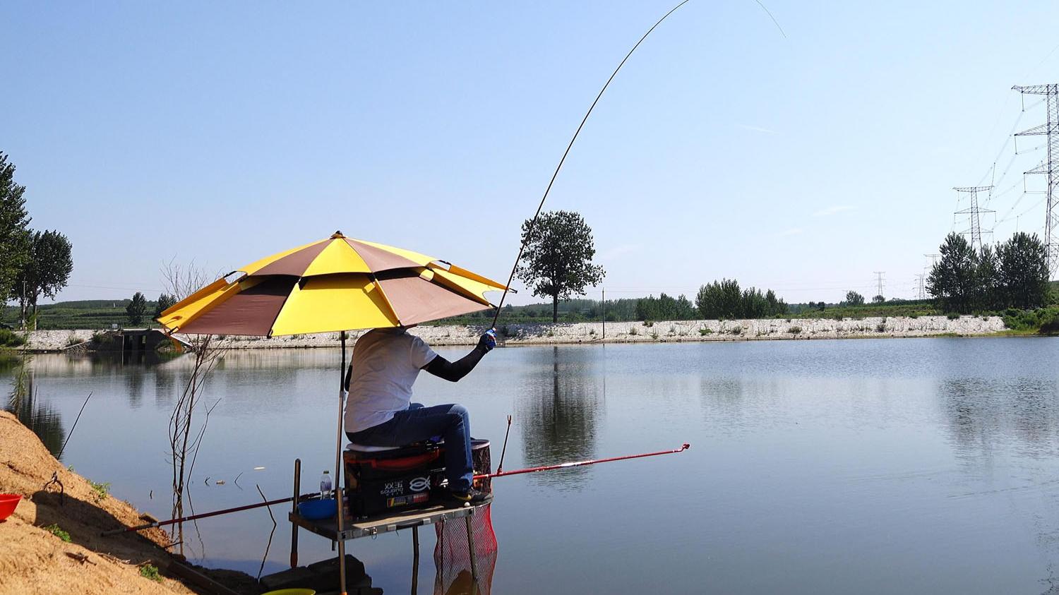 |夏季气温和水温变化对钓鱼的影响，鱼口的好坏都与温度有关
