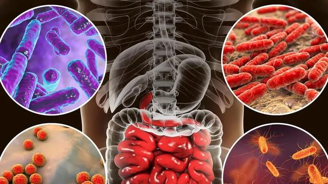 高通骁龙|基于脑电图的非侵入性技术和接口，已经在相当广泛的领域中得到应用