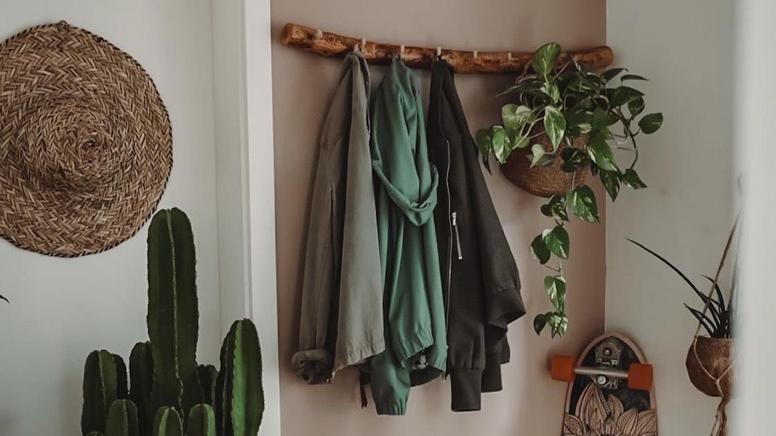 参观完她家，才知道什么叫高级！全屋绿植环绕，精致生活惹人羡慕