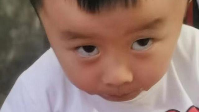 奇奇|有你真甜！田静父亲分享日常生活，心情大好，奇奇出镜，可爱依旧