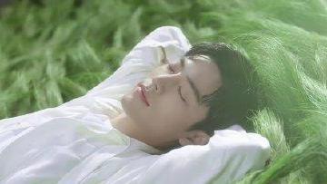 肖战|“空手套白狼”来了！大V搬运肖战粉丝文案，打赏多到想不到