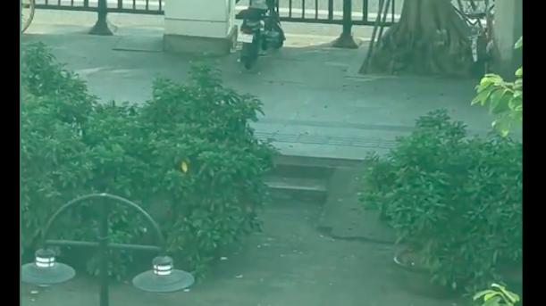 男子在地铁口虐待狗，抛狗踩头导致它当场去世，警方：有精神病！