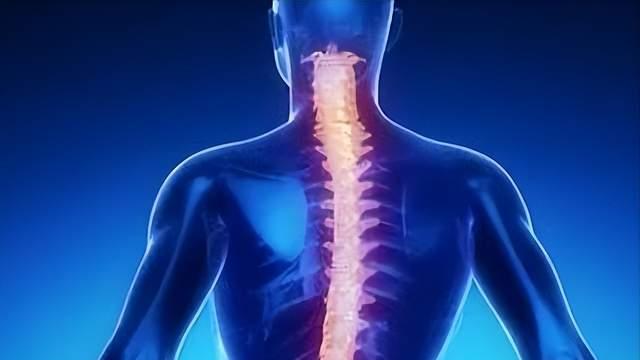 西红柿|背部，人体报警器，这些信息早发现能救命