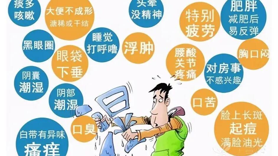|“痰源于肾，动于脾，客于肺”，生命不息，湿气不尽！