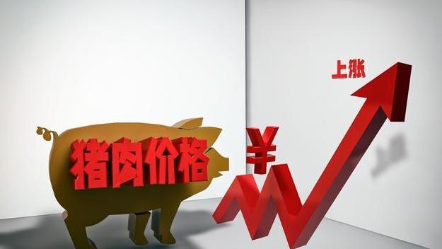 教练 7月10日卖猪的价格，养猪人还要继续等吗？