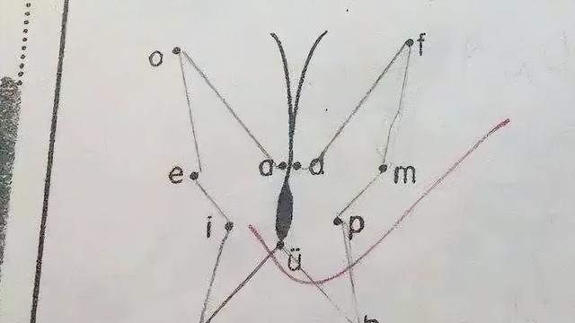 这是对了还是没对？小学生“零分试卷”走红，老师：给我整不会了