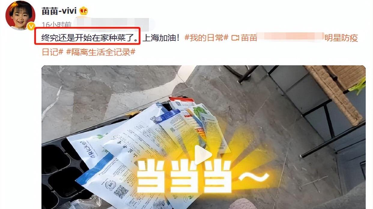 苗苗|郑凯老婆苗苗家中种菜！菜苗盆子在阳台摆一地，素颜出镜皮肤超白