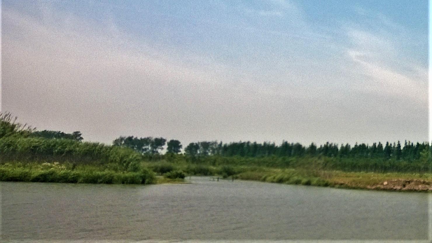 pua|职场PUA之——你是工具人吗？