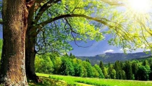 |这个年份要在职场栽跟斗，未来能翻身的人