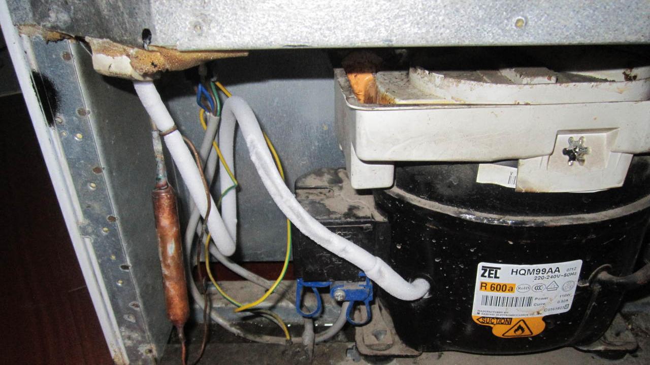 用了10年冰箱才知道，后面还有个储水盒，打开以后，厨房全是臭味