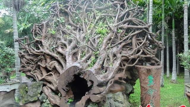 |安踏女鞋海报被指擦边，网友却说：不看评论只看图愣是没发现问题