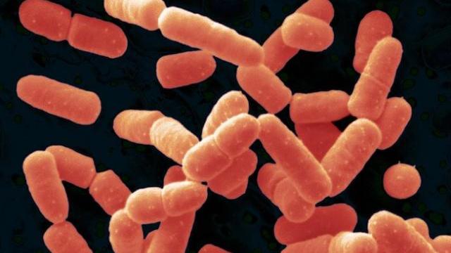 痛经|放屁太频繁，还以为很正常？可能是三种病在作祟，大多半人忽视了