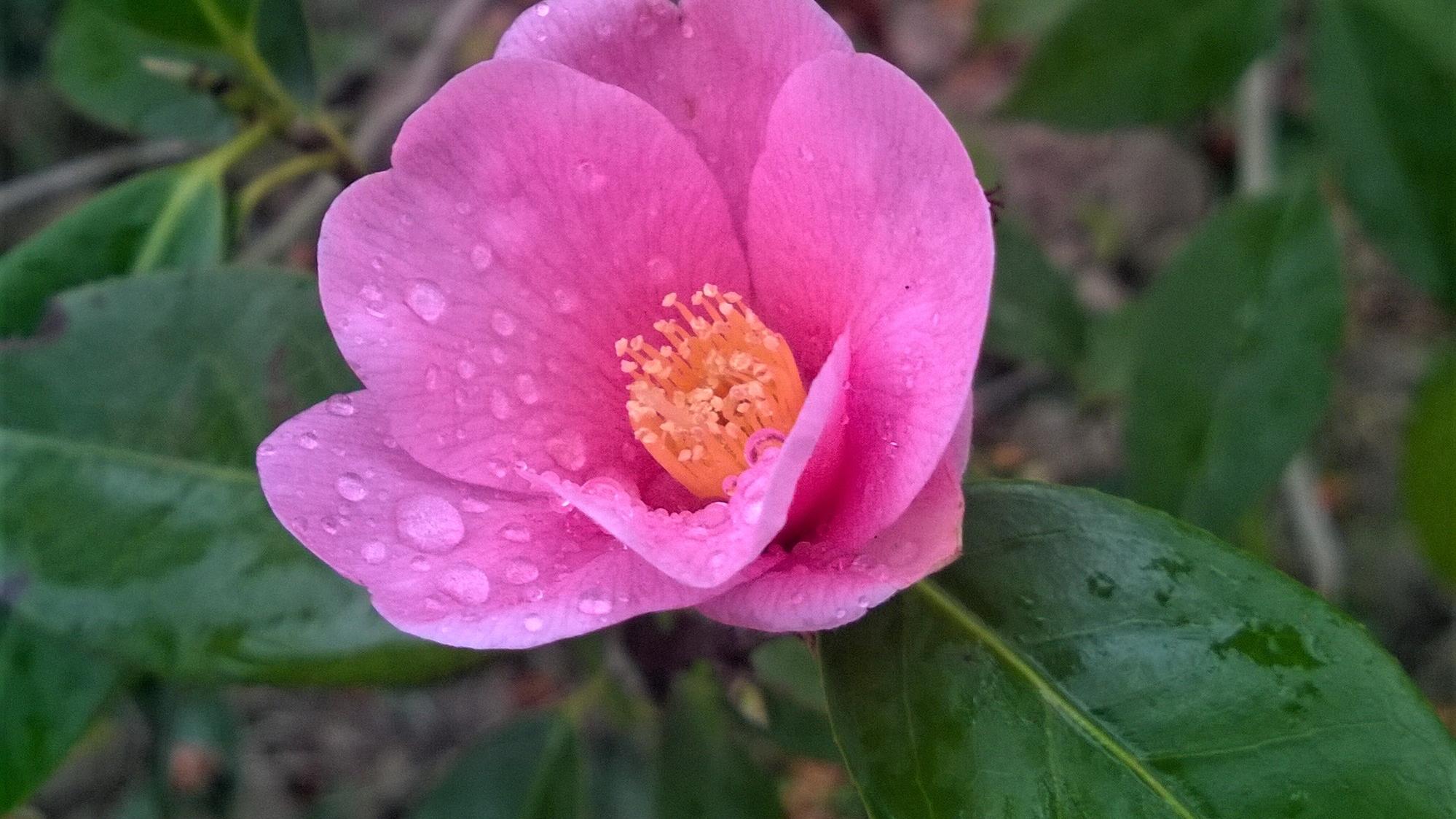 pua|职场PUA之——你还敢安逸？