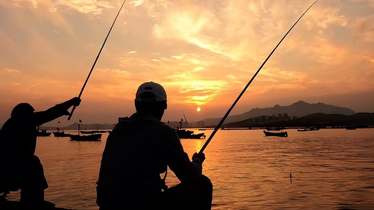 |夏季钓鱼要选择早晚，为什么我还是空军？