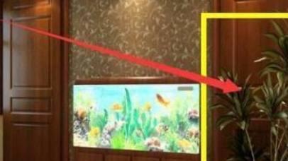 家里客厅一旦摆上这种植物，穷人都会越住越富裕，有钱人一看就懂