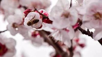 打破套子 找好方子不要因为技能高就自傲自满作茧自缚而是要勇去突破和创新很多事例都在暗