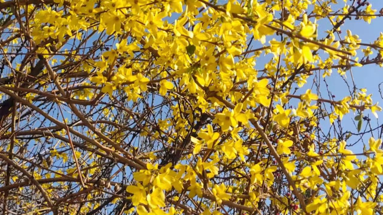 社区卫生服务中心|孩子积食后的特效推拿处方