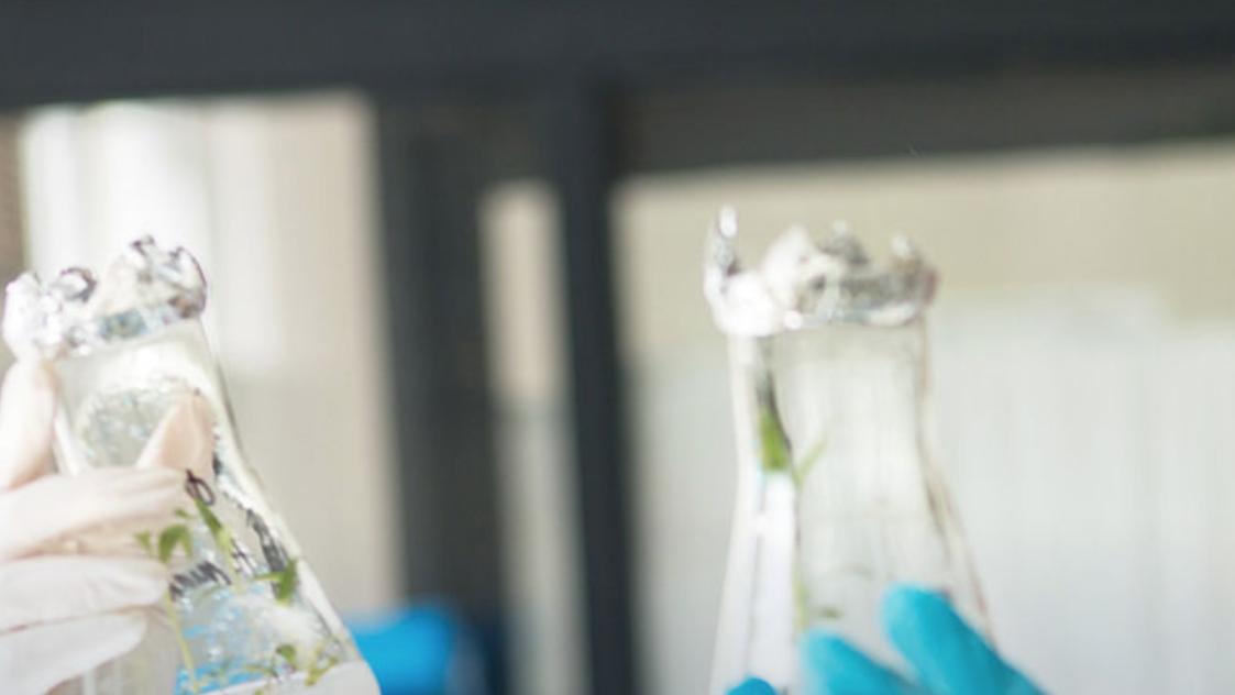 乙肝|乙肝在研新药IMC-I109V，1期极低剂量，伴随HBsAg下降及ALT升高