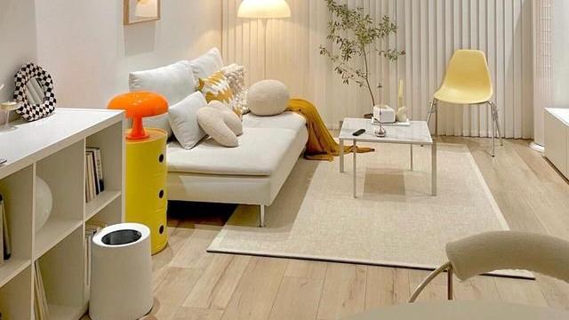 66㎡，一人独居，入住4年的家，依旧干干净净，看着好赏心悦目