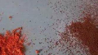 祝允明|一字之差，价差万里！这三种木质文玩，千万别弄混淆了！