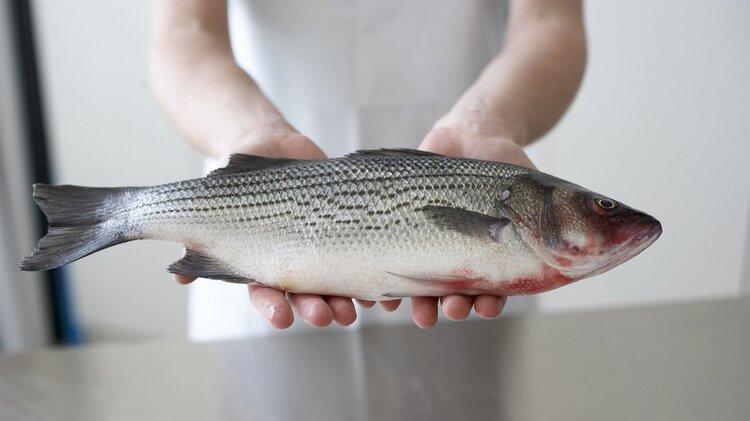 黑色素|美国研究：鱼肉含有毒物质，多吃或致癌？真正要少吃的是这2种鱼