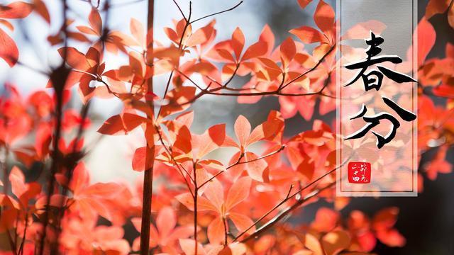 明日春分，有钱没钱，记得吃3样忌3样，阳气足身体好，平安过春天