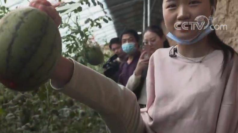 |靠双脚改变命运！断臂天使杨佩：用脚十字绣，结婚了也不靠老公