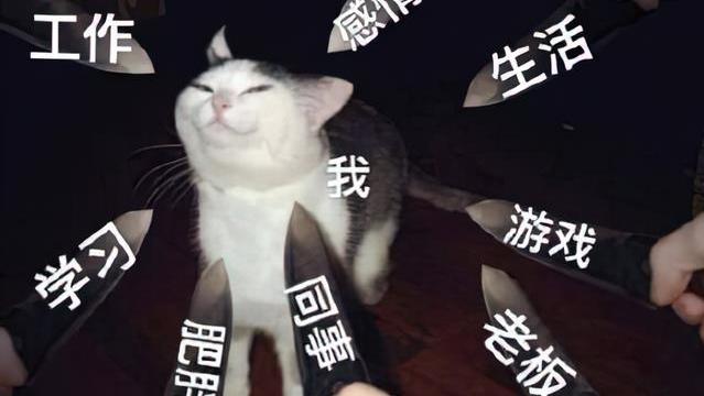 客服|我发现了，不论私企国企还是体制，单位里过得好的只有两种人