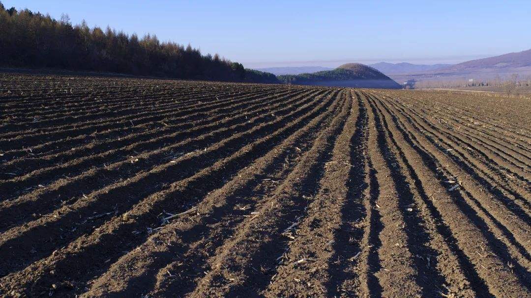 全世界最优良的两块黑土地, 一块在中国的东北地区, 另一块就在乌克兰