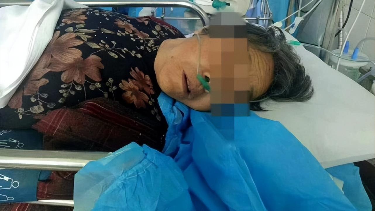 卫生间里的黑色小飞虫是什么？传播病菌、寄生人体！赶紧消灭才行。