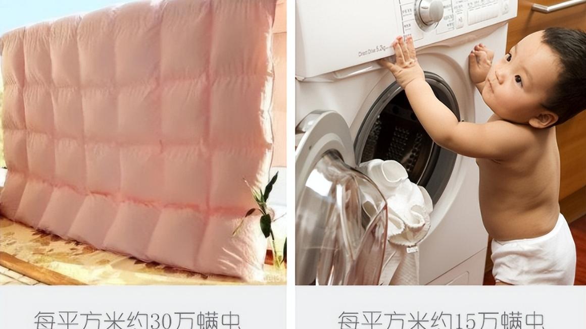 建议大家：不管生活多节俭，这6件“旧东西”能扔就扔！不用心疼