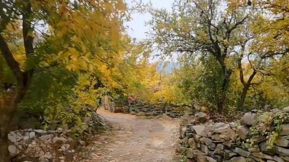 淮北|安徽淮北的石头古村，藏在山腰之处，掩映于石榴园里