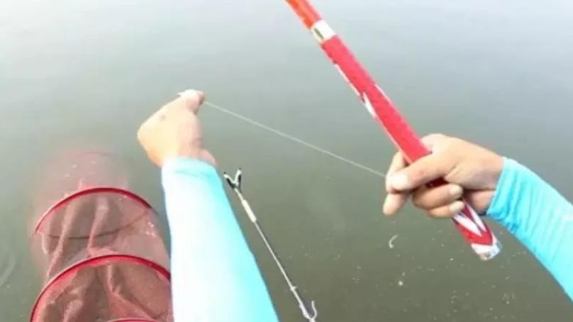 饵料|钓鱼漂相不明显？学会这3个方法，漂相明显不累眼，轻松钓大鱼！