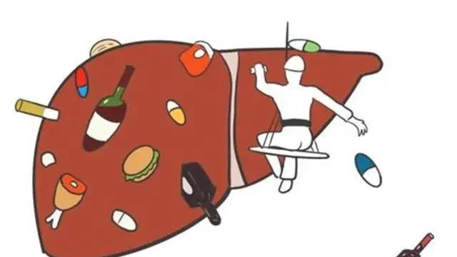 疾病|肝脏受损会带来哪些影响？呵护肝脏从现在开始！