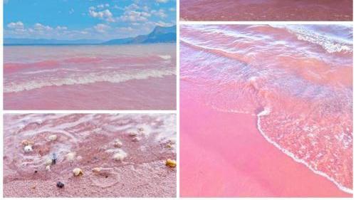 沙滩|琉璃万顷的抚仙湖，打卡粉红沙滩惊艳之旅
