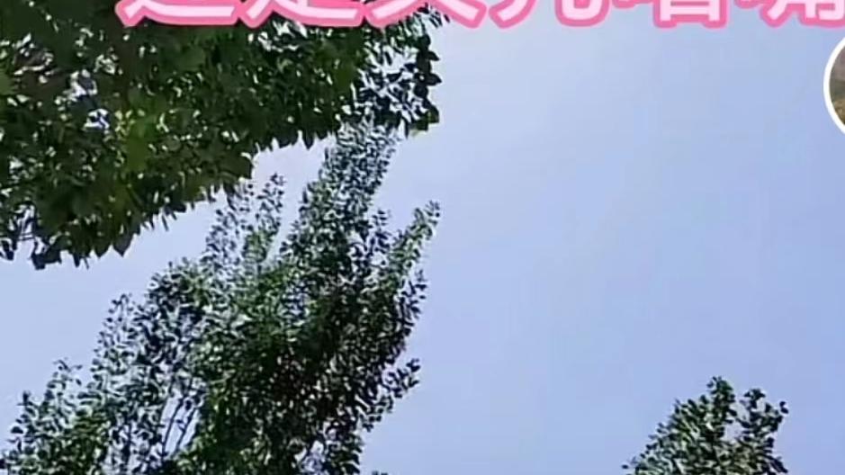 许敏|尴尬！杜新枝直播称网暴对自己伤害大，无意言辞引发热议