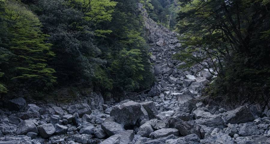 净利润|家电业绩与消费需求两重天，美的拓版图华为方太拼技术长虹抢单