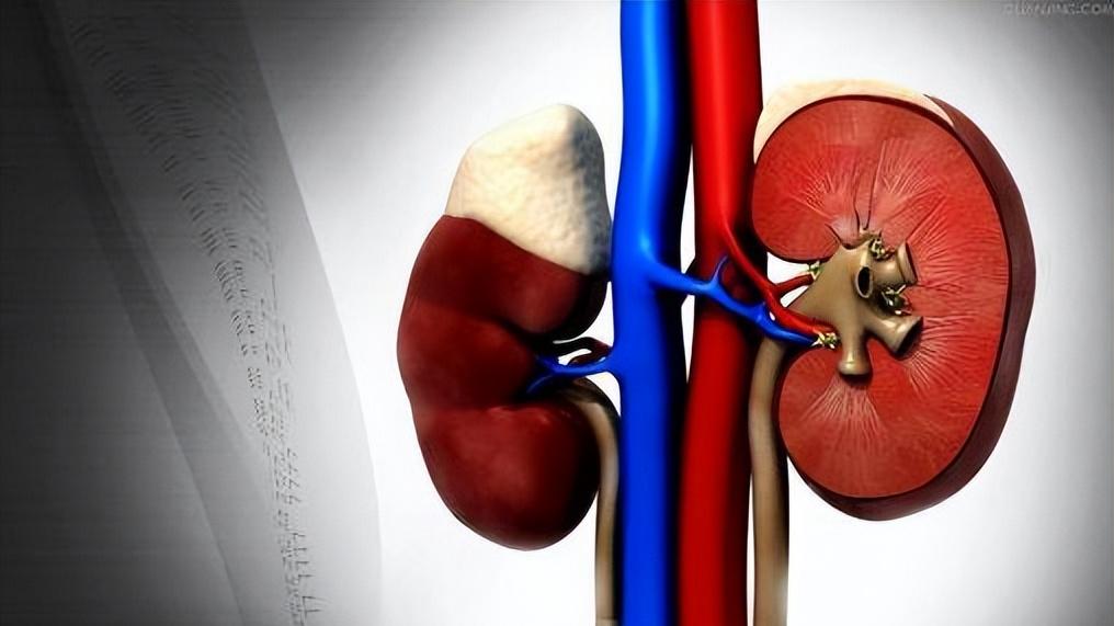 医生|听说：慢性肾病患者不能吃豆制品，这种说法是真的吗？真相来了